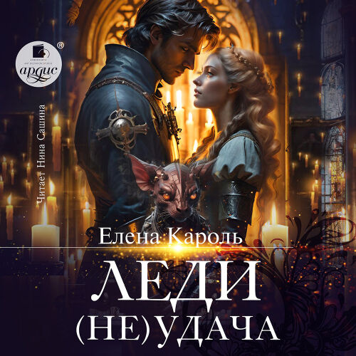Леди (Не)удача. Обложка