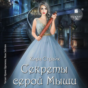 Секреты серой Мыши. Обложка