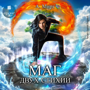 Маг двух стихий. Обложка