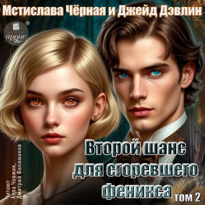 Второй шанс для сгоревшего феникса 2. Обложка
