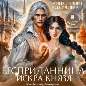 Искра князя. Обложка